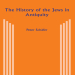 Peter Schäfer - The History of the Jews in Antiquity. The Jews of Palestine from Alexander the Great to the Arab Conquest (Retail)